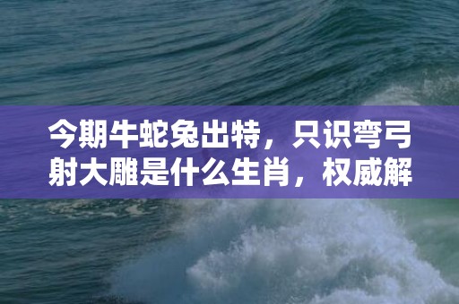 今期牛蛇兔出特，只识弯弓射大雕是什么生肖，权威解释落实