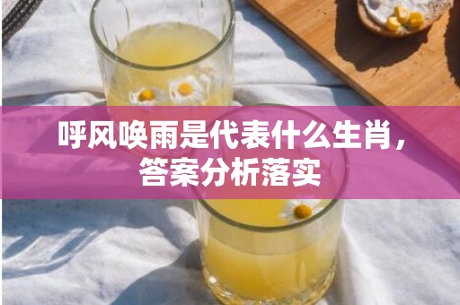 呼风唤雨是代表什么生肖，答案分析落实