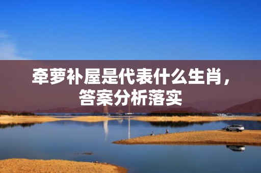 牵萝补屋是代表什么生肖，答案分析落实