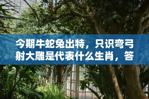 今期牛蛇兔出特，只识弯弓射大雕是代表什么生肖，答案分析落实