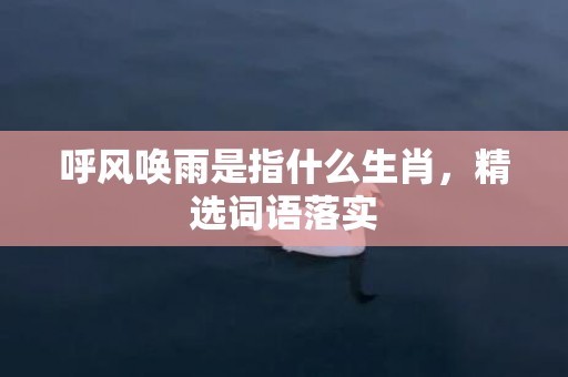 呼风唤雨是指什么生肖，精选词语落实