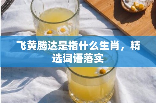 飞黄腾达是指什么生肖，精选词语落实