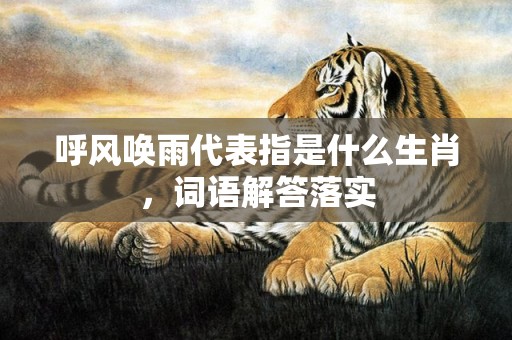 呼风唤雨代表指是什么生肖，词语解答落实
