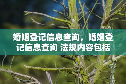 婚姻登记信息查询，婚姻登记信息查询 法规内容包括哪些