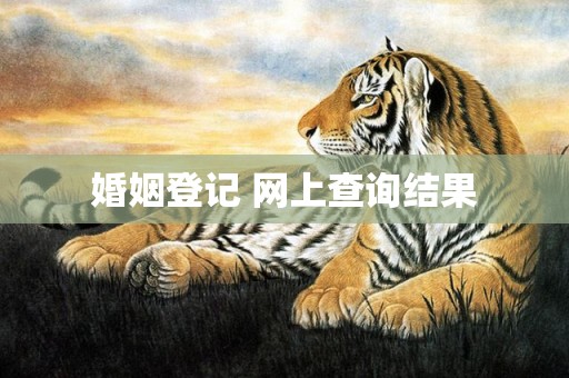婚姻登记 网上查询结果