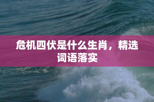 危机四伏是什么生肖，精选词语落实