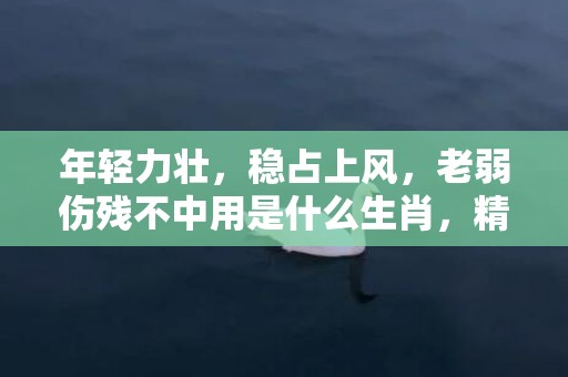 年轻力壮，稳占上风，老弱伤残不中用是什么生肖，精选解答落实