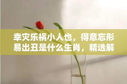 幸灾乐祸小人也，得意忘形易出丑是什么生肖，精选解答落实