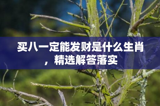买八一定能发财是什么生肖，精选解答落实