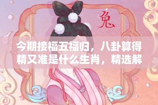 今期接福五福归，八卦算得精又准是什么生肖，精选解答落实