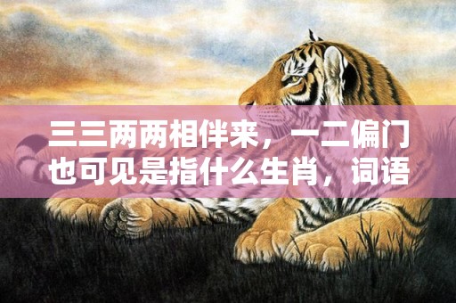 三三两两相伴来，一二偏门也可见是指什么生肖，词语解释落实