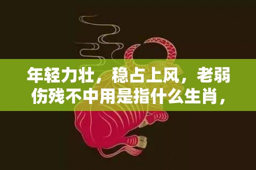年轻力壮，稳占上风，老弱伤残不中用是指什么生肖，词语解释落实