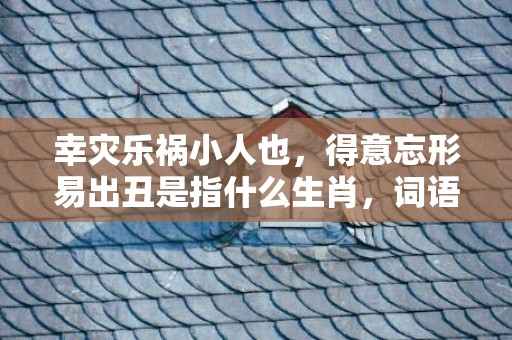 幸灾乐祸小人也，得意忘形易出丑是指什么生肖，词语解释落实