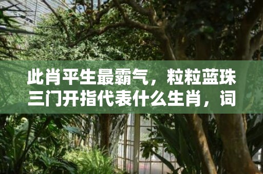 此肖平生最霸气，粒粒蓝珠三门开指代表什么生肖，词语精选落实