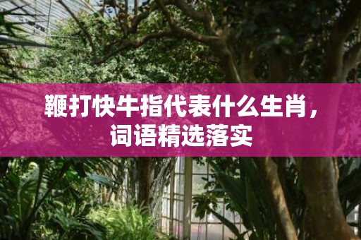 鞭打快牛指代表什么生肖，词语精选落实