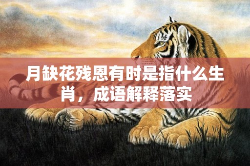 月缺花残恩有时是指什么生肖，成语解释落实
