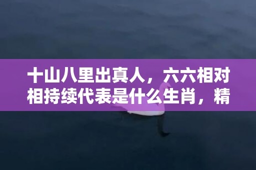 十山八里出真人，六六相对相持续代表是什么生肖，精选解释落实