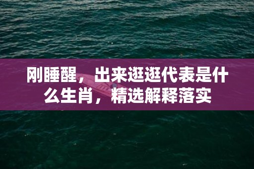 刚睡醒，出来逛逛代表是什么生肖，精选解释落实