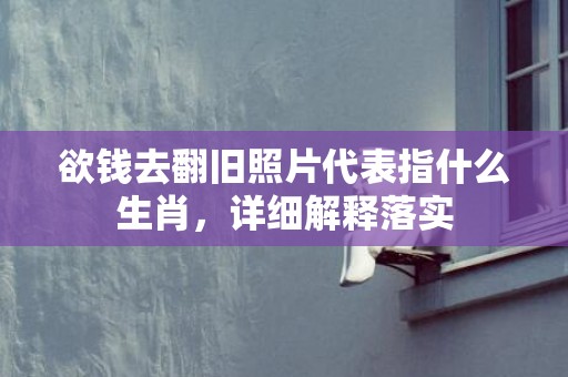 欲钱去翻旧照片代表指什么生肖，详细解释落实