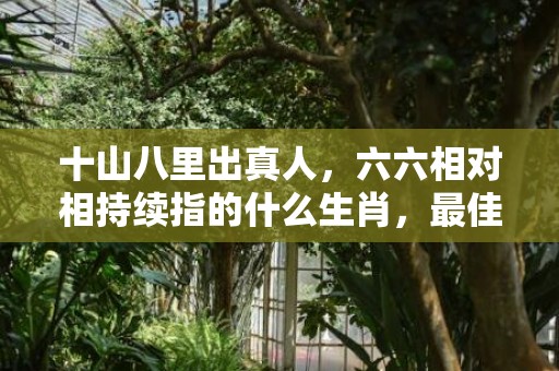 十山八里出真人，六六相对相持续指的什么生肖，最佳答案落实