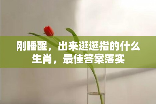 刚睡醒，出来逛逛指的什么生肖，最佳答案落实