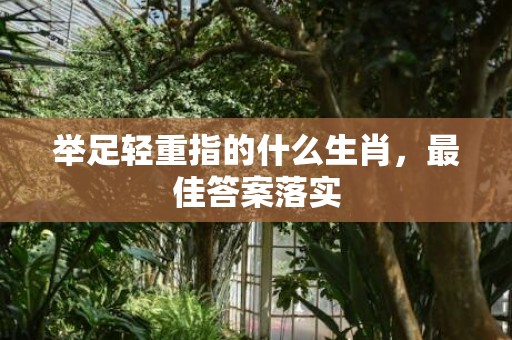 举足轻重指的什么生肖，最佳答案落实