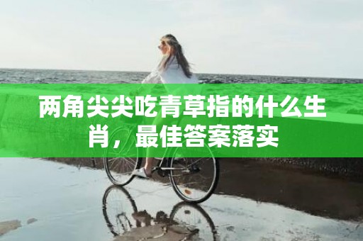 两角尖尖吃青草指的什么生肖，最佳答案落实