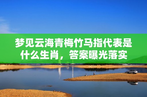 梦见云海青梅竹马指代表是什么生肖，答案曝光落实