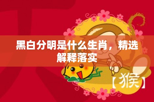 黑白分明是什么生肖，精选解释落实