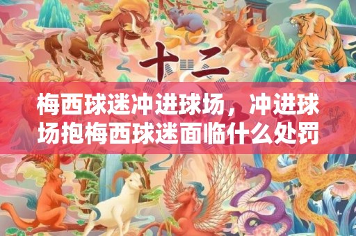 梅西球迷冲进球场，冲进球场抱梅西球迷面临什么处罚
