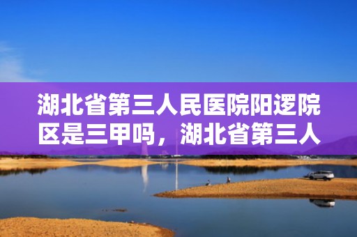 湖北省第三人民医院阳逻院区是三甲吗，湖北省第三人民医院编外人员招聘信息2023