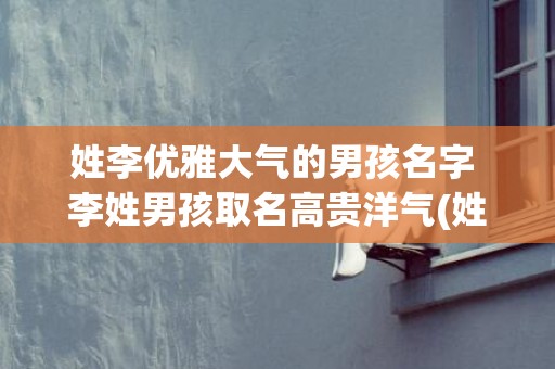 姓李优雅大气的男孩名字 李姓男孩取名高贵洋气(姓李女孩名字优雅大气三个字)