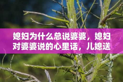 媳妇为什么总说婆婆，媳妇对婆婆说的心里话，儿媳送给婆婆的一段话