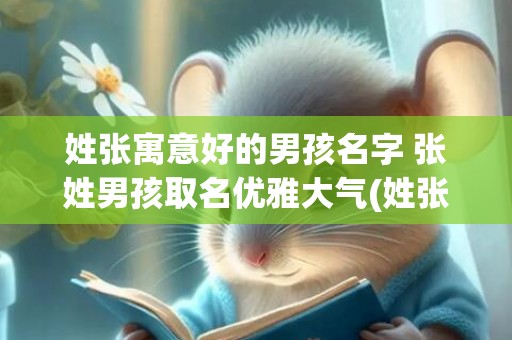 姓张寓意好的男孩名字 张姓男孩取名优雅大气(姓张的男孩名字有内涵寓意)