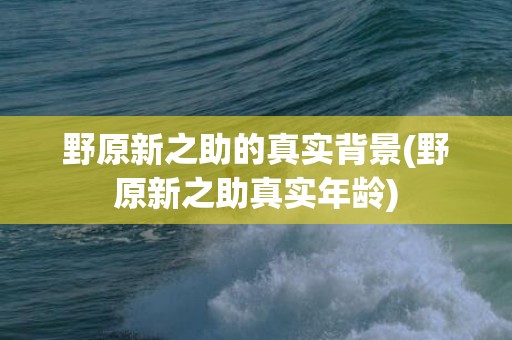野原新之助的真实背景(野原新之助真实年龄)