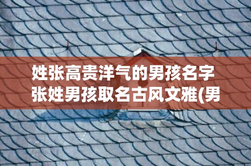 姓张高贵洋气的男孩名字 张姓男孩取名古风文雅(男猫咪高贵洋气的名字)