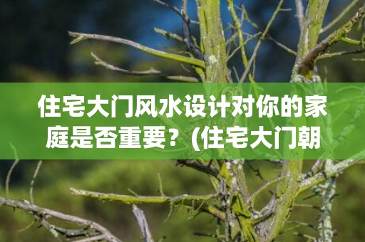 住宅大门风水设计对你的家庭是否重要？(住宅大门朝向哪里风水最好)