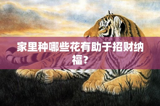 家里种哪些花有助于招财纳福？