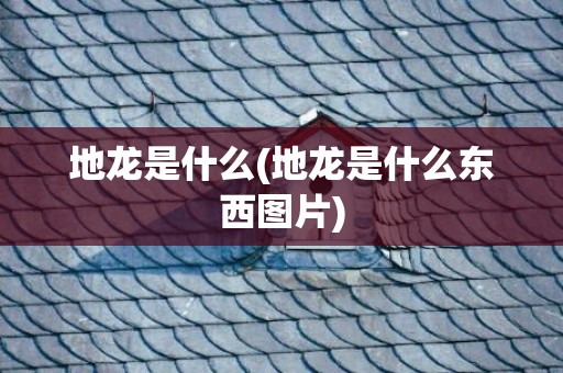 地龙是什么(地龙是什么东西图片)