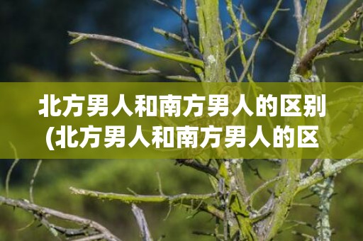 北方男人和南方男人的区别(北方男人和南方男人的区别)