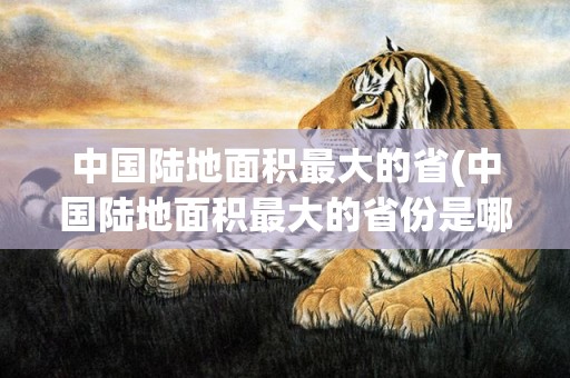 中国陆地面积最大的省(中国陆地面积最大的省份是哪个省)
