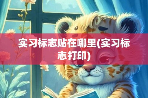 实习标志贴在哪里(实习标志打印)