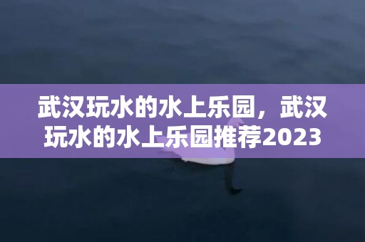 武汉玩水的水上乐园，武汉玩水的水上乐园推荐2023