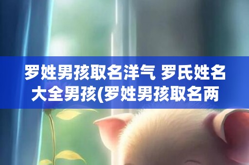 罗姓男孩取名洋气 罗氏姓名大全男孩(罗姓男孩取名两个字)