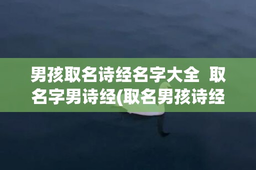 男孩取名诗经名字大全  取名字男诗经(取名男孩诗经还是楚辞)