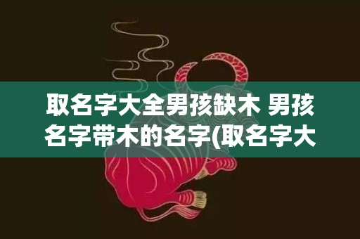 取名字大全男孩缺木 男孩名字带木的名字(取名字大全男孩缺木和缺火)