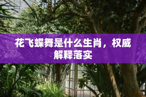 花飞蝶舞是什么生肖，权威解释落实