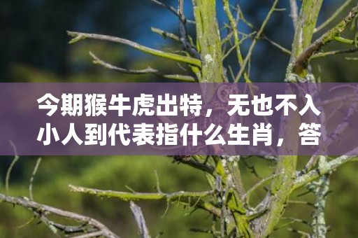 今期猴牛虎出特，无也不入小人到代表指什么生肖，答案分析落实