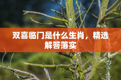 双喜临门是什么生肖，精选解答落实