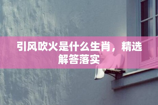 引风吹火是什么生肖，精选解答落实
